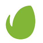 Ellipse 13